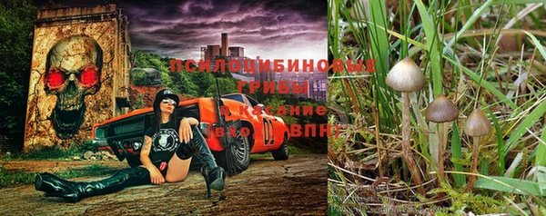 гашиш Кукмор
