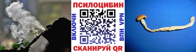 Купить закладки  Новоульяновск  Псилоцибиновые грибы Cubensis 